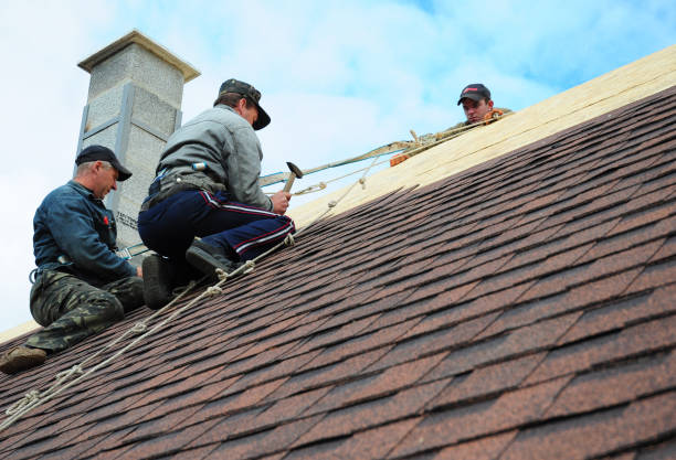 Best Storm Damage Roof Repair  in Saginaw, TX